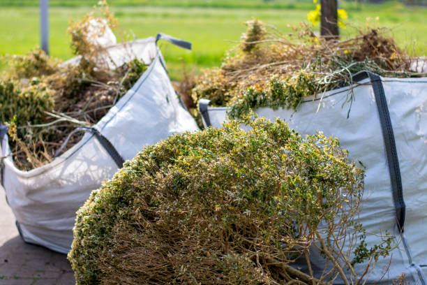 Best Local Junk Hauling  in Cleora, OK